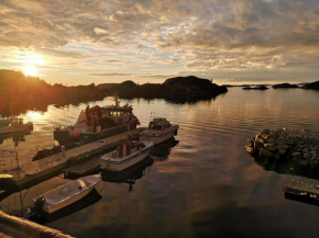 Kobbaneset Olga - Tett på havet - Bekkjarvik